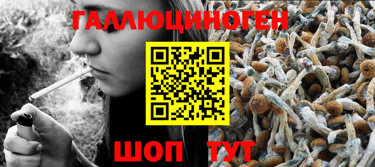 Москва  Галлюциногенные грибы Cubensis  Вход с VPN 