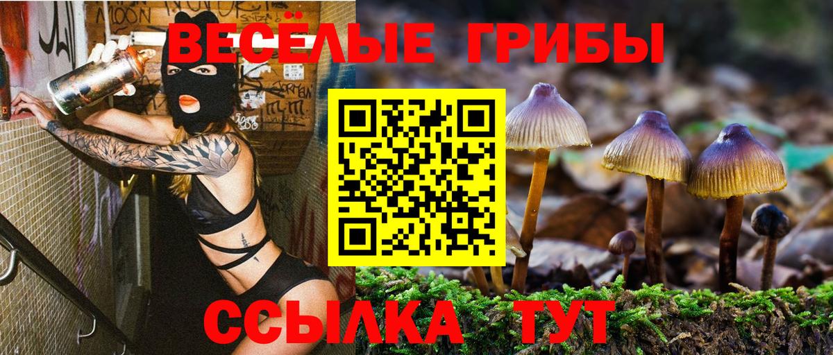 Галлюциногенные грибы MAGIC MUSHROOMS Москва